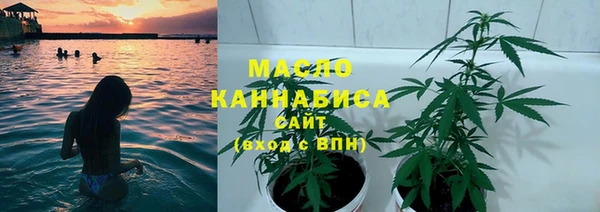 гашик Каменногорск