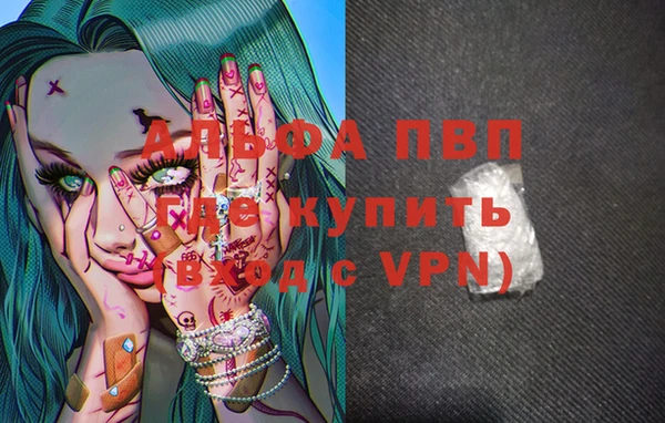 гашик Каменногорск