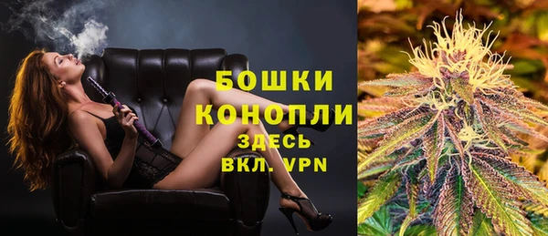 гашик Каменногорск