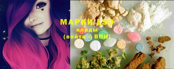 гашик Каменногорск