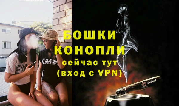 гашик Каменногорск