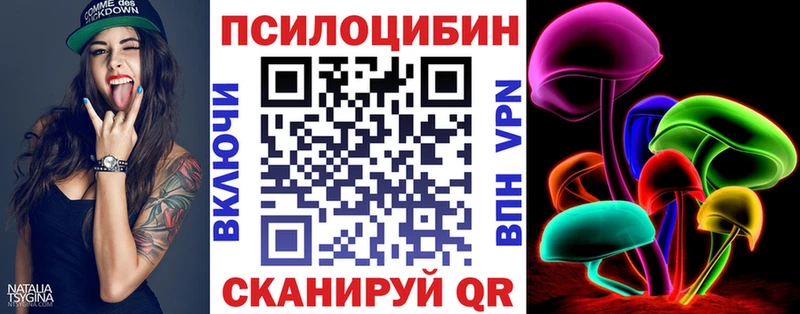Псилоцибиновые грибы Psilocybine cubensis  Купить где  Торопец 